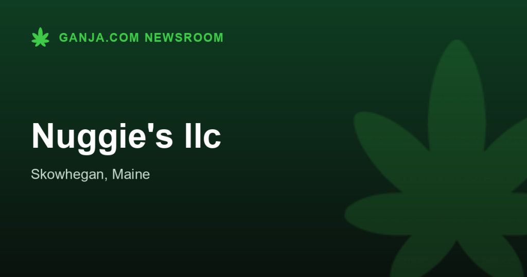 Nuggie's llc