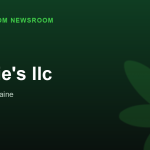 Nuggie's llc