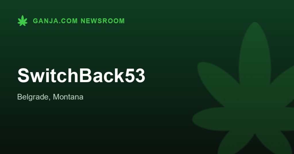 SwitchBack53