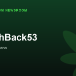 SwitchBack53