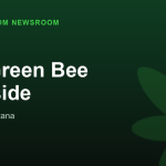 The Green Bee Lakeside