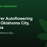 Jack Herer Autoflowering Deals in Oklahoma City, Oklahoma