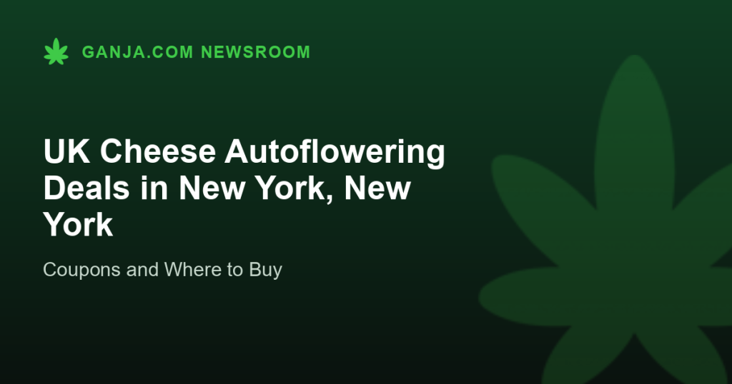 UK Cheese Autoflowering Deals in New York, New York
