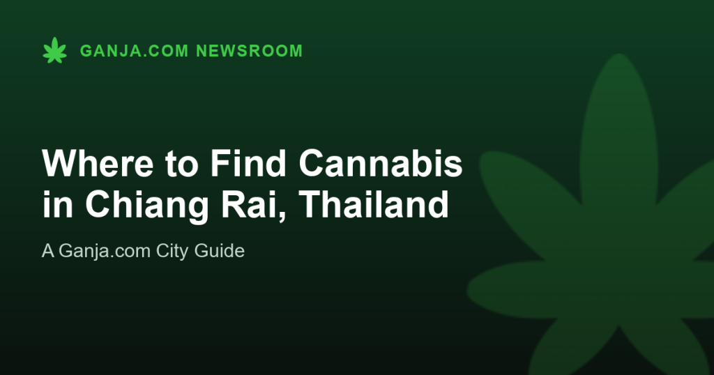 Where to Find Cannabis in Chiang Rai, Thailand