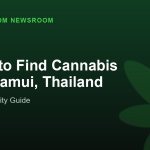Where to Find Cannabis in Ko Samui, Thailand