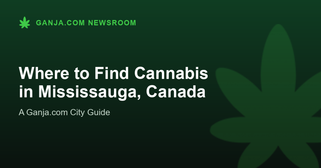 Where to Find Cannabis in Mississauga, Canada