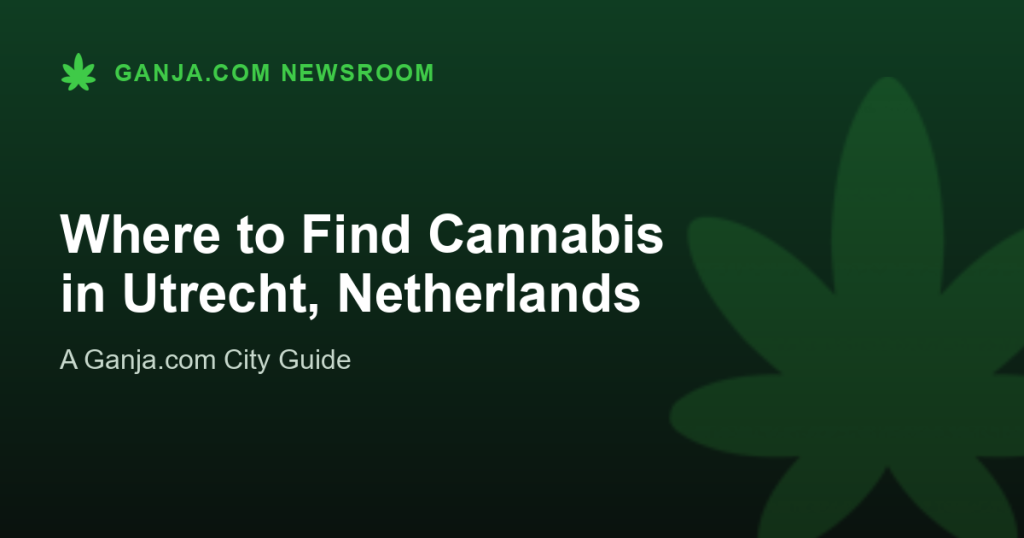 Where to Find Cannabis in Utrecht, Netherlands