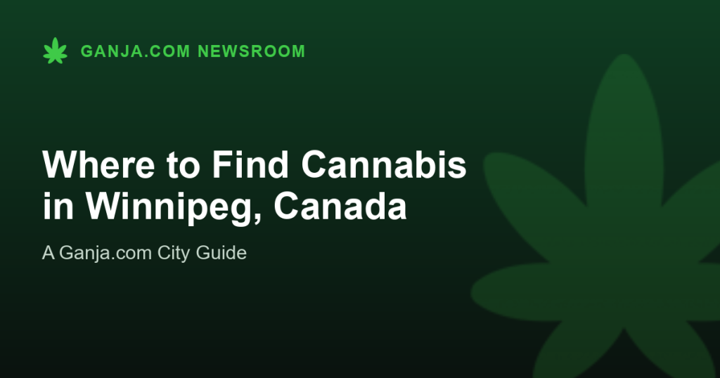 Where to Find Cannabis in Winnipeg, Canada