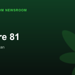 Kulture 81