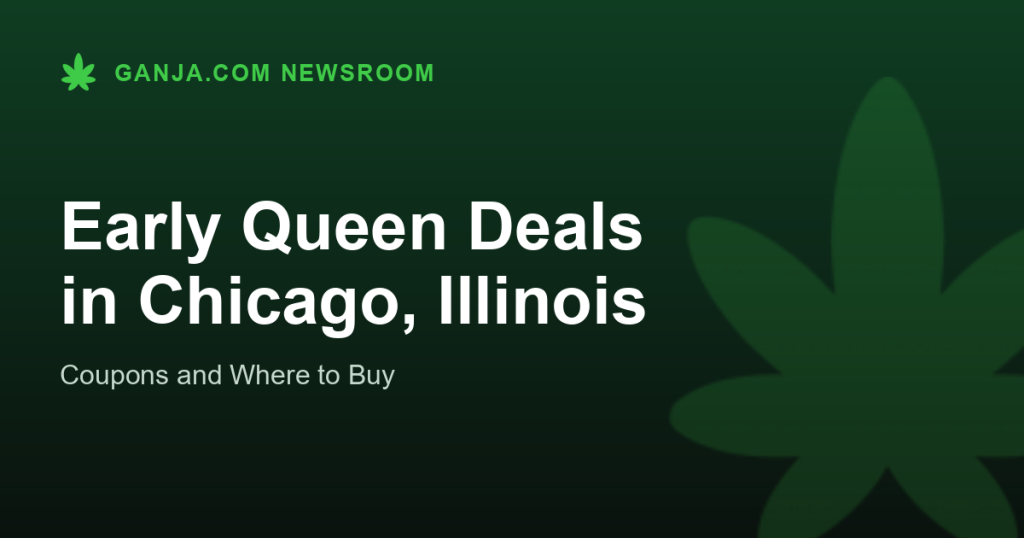 Early Queen Deals in Chicago, Illinois